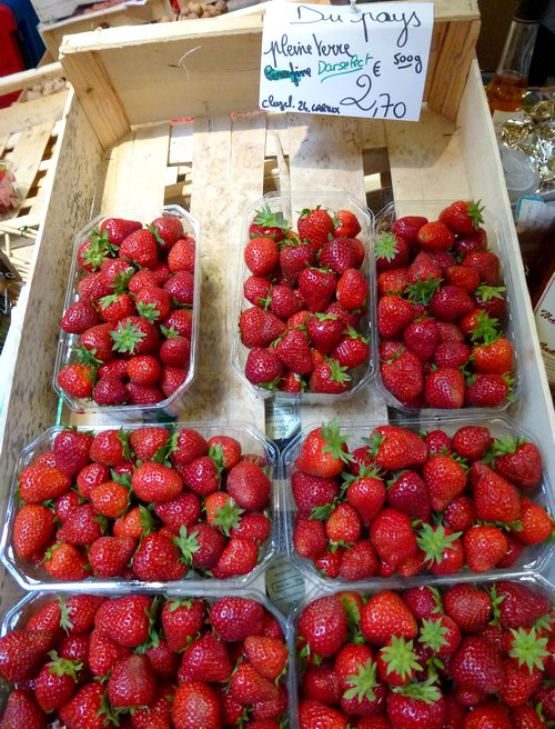 06-walk_and_bike_holidays_in_france-perigord_stawberries