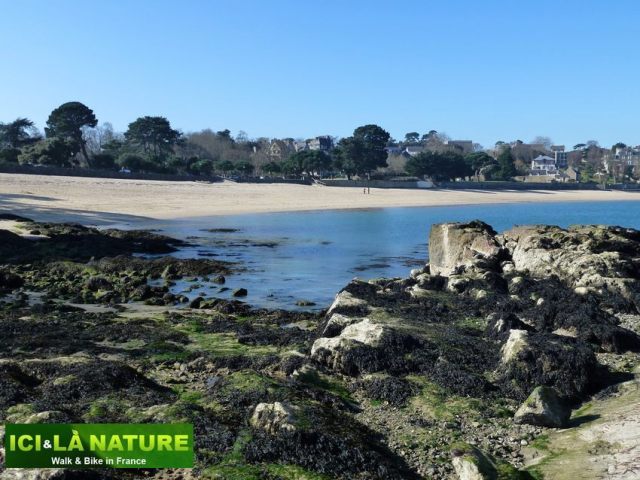 04-cycling_holidays_in_france-brittany-dinard