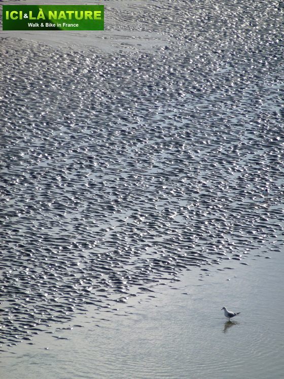 25-discover_france_by_bike-mont-saint-michel