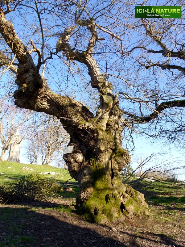 52-discover_by_bike_mont-saint-michel-mont-dol