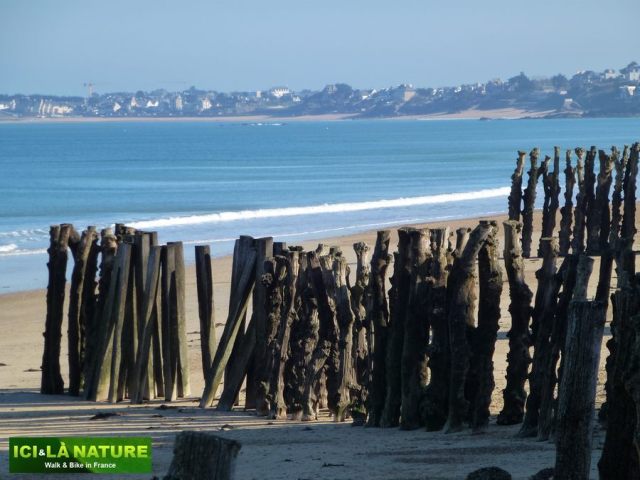 67-biking-trip_in_saint-malo_brittany