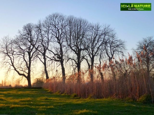 80-chateaubriand_combourg_castle_brittany_bike