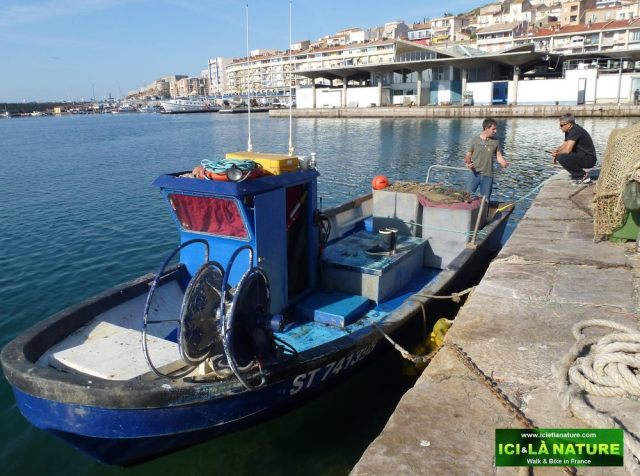 08-easy_biking_routes_in_france-mediterranean_sea
