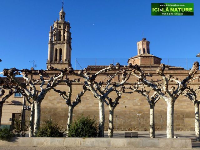0801-walking-the_way_of_saint-james-camino_frances_spain-los_arcos