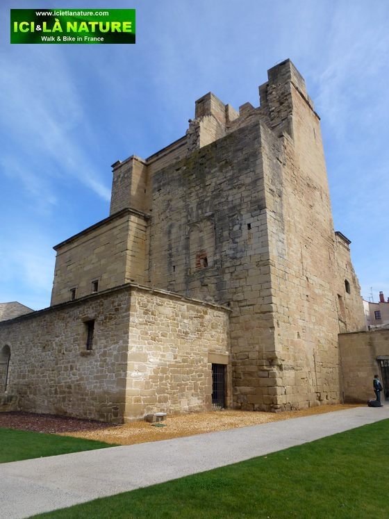 10008-walking_holidays_way_of_saint-james-spain-viana