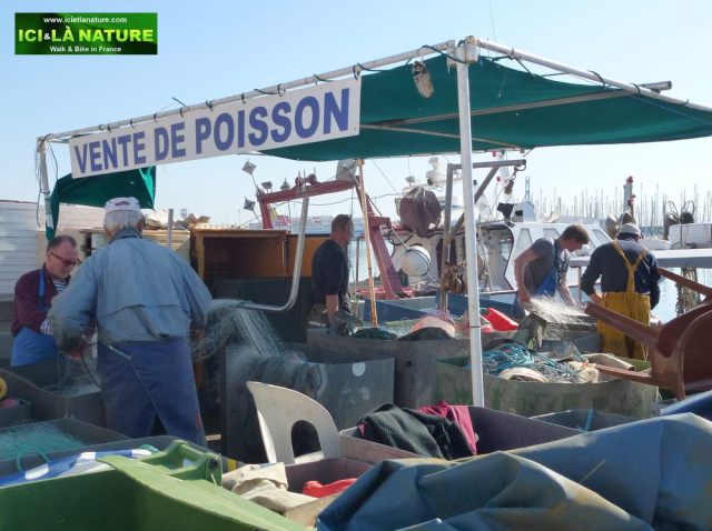 17-fishing_in_france-vente_de_poisson-sete