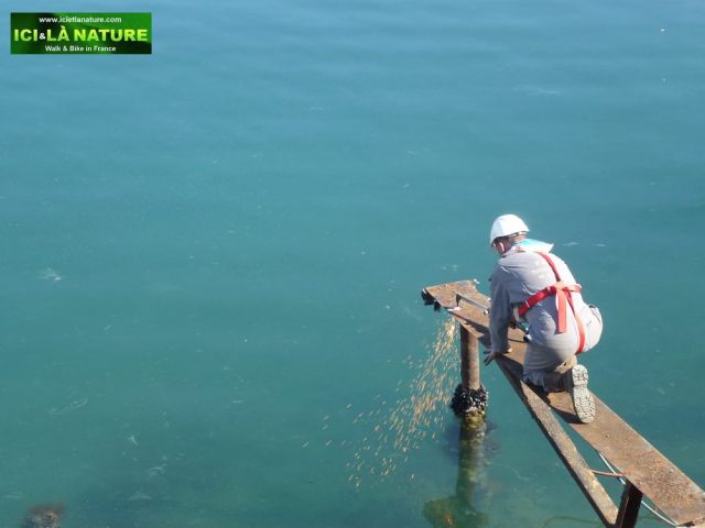 20-man_at_work-port_of_sete-france