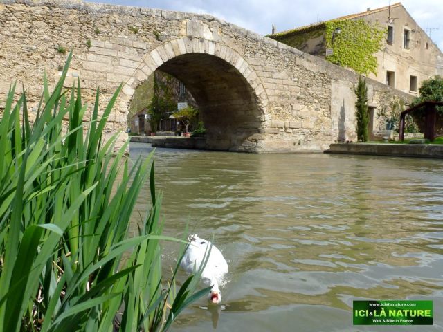 00-attack-canal-du-midi