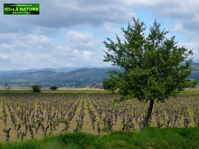 00-landcape-south-of-france