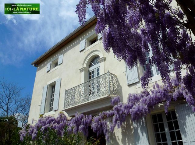 00-nature-flowers-biking
