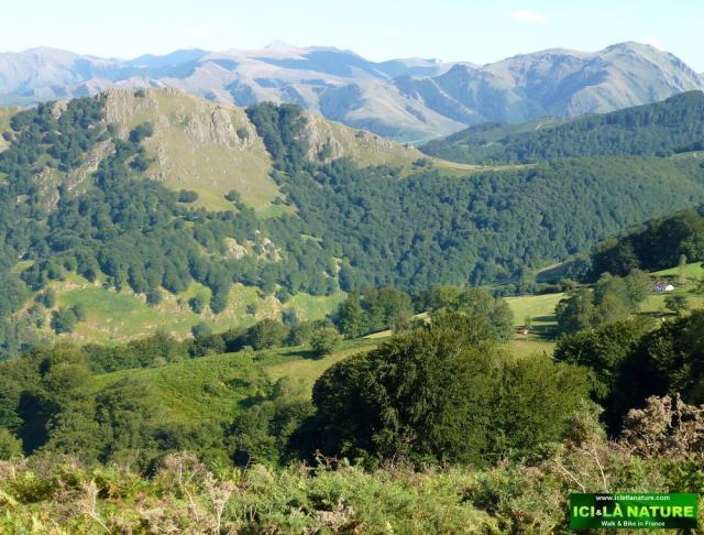 03-ici et la nature basque country pictures