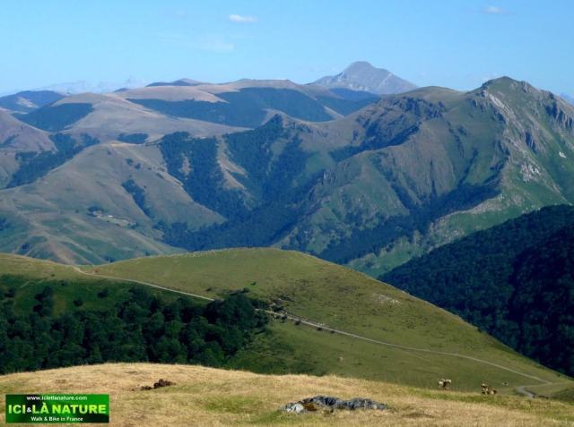 05-travel walking in france ici et la nature