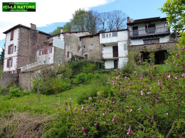 08-walking the way of St james france