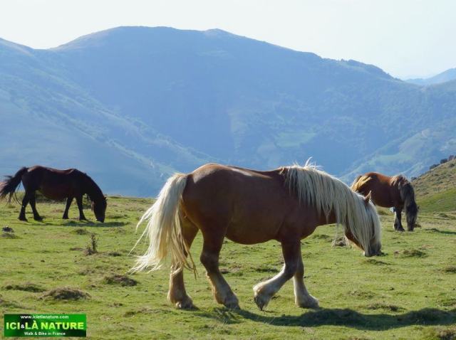 10-walking tour france basque country