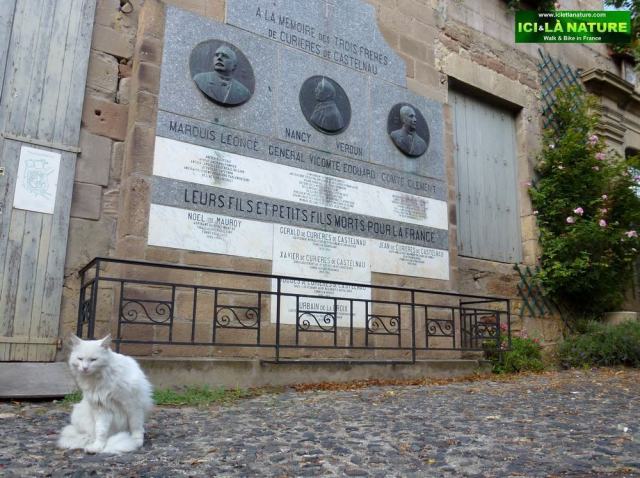 12-white cat on the way le puy france