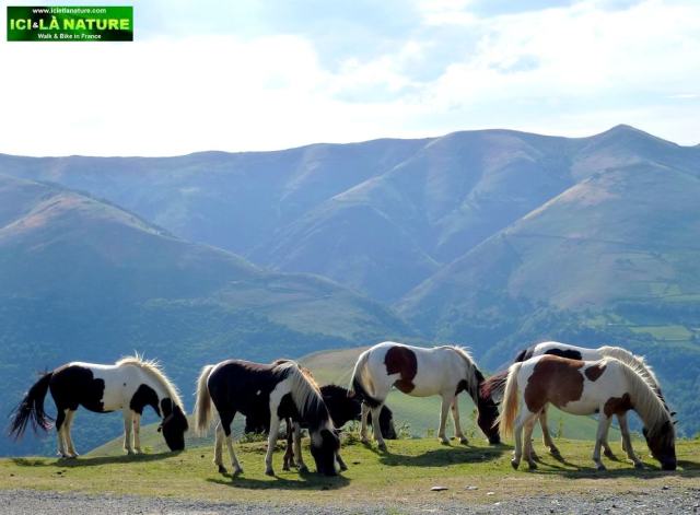 14-walk france basque country