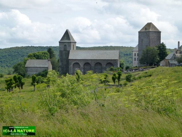 19-ici et la nature el camino in france