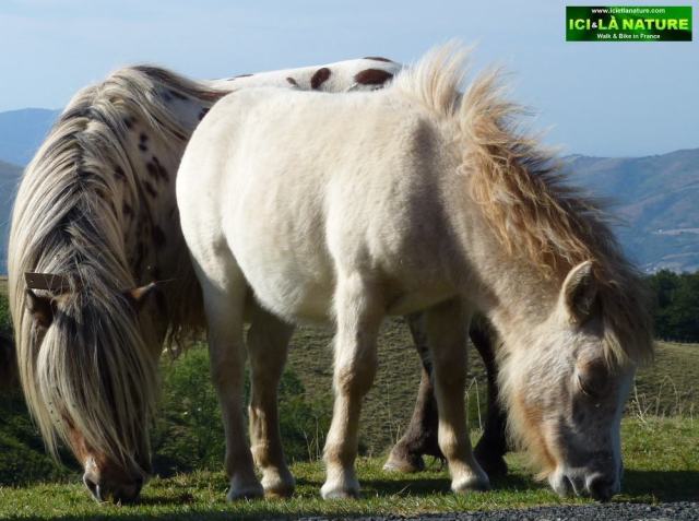 20- hike in france basque country