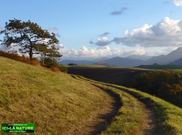 25-hiking france basque mountain cambo