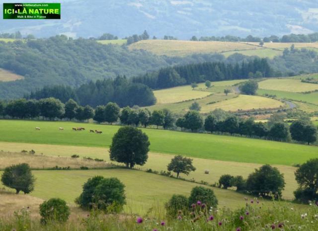 30-landscape camino aveyron