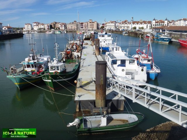 39-saint jean de luz ici et la nature