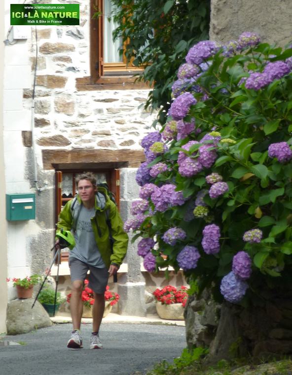 40-camino in france-ici et la nature