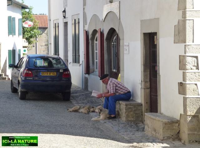 40-walking pyrenees mountains