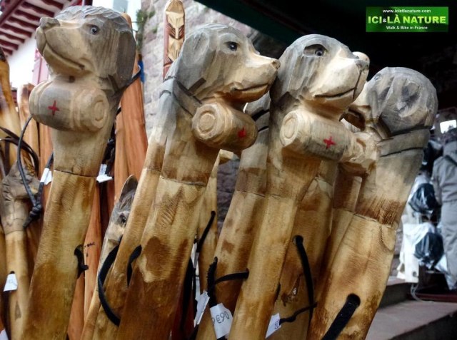 52-ici et la nature camino in france pyrenees