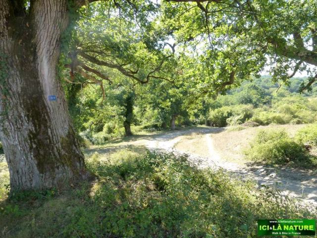 68-french country way of St james