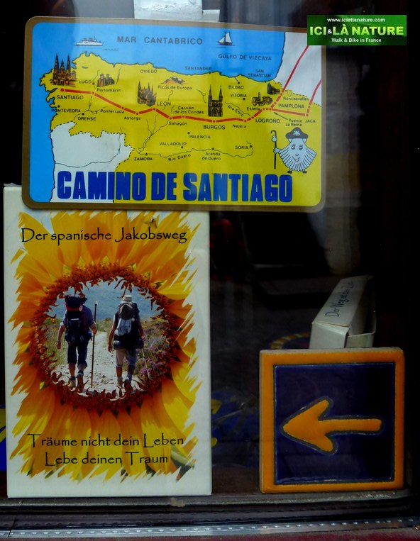 68-ici et la nature the specialist camino frances