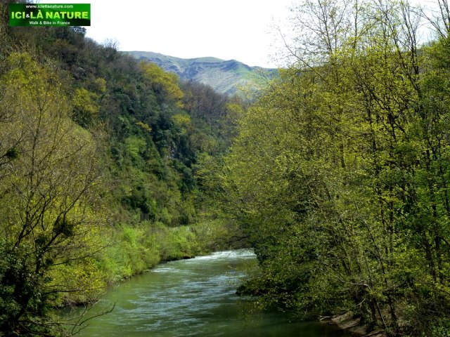 72-ici et la nature-landscape-st james in france