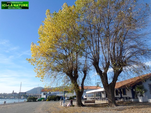 73-restaurant du port-hendaye