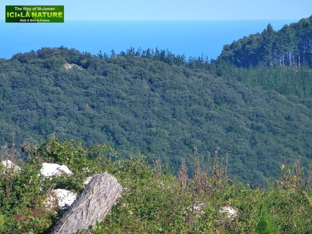 camino del norte guernica santiago de compostela