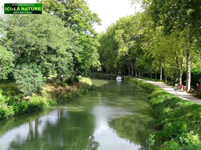 cycling along the canal du midi southern france