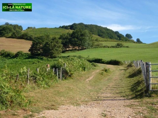 the way of st james from st jean pied de port to roncesvalles