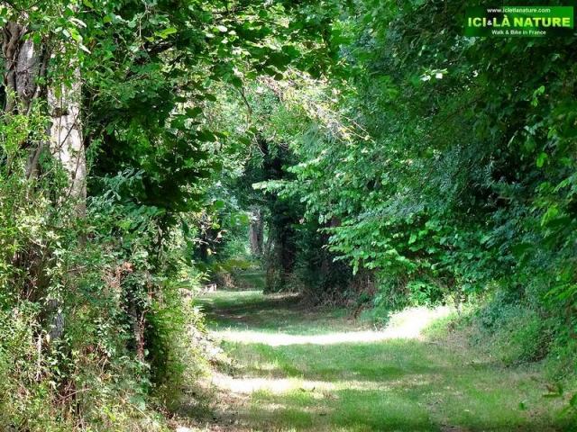 01-walking france ici et la nature