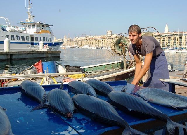 11-travel walk in marseille