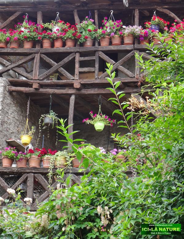 18-flowers hiking france lot valley