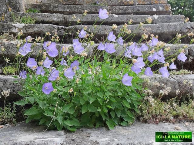 22-walking trip southfrance