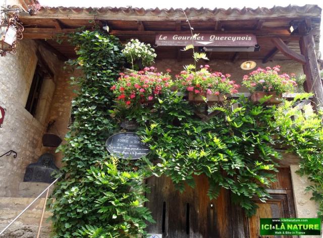 28-walking france ici et la nature