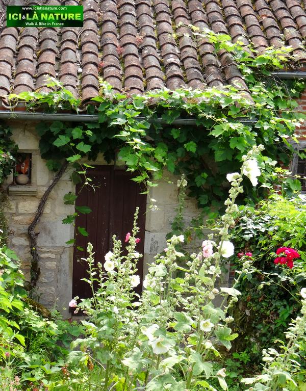 35-hiking watching flowers ici et la nature