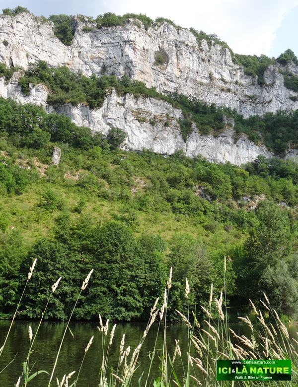 35-ici et la nature south west france