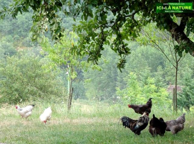 49-ici et la nature walk