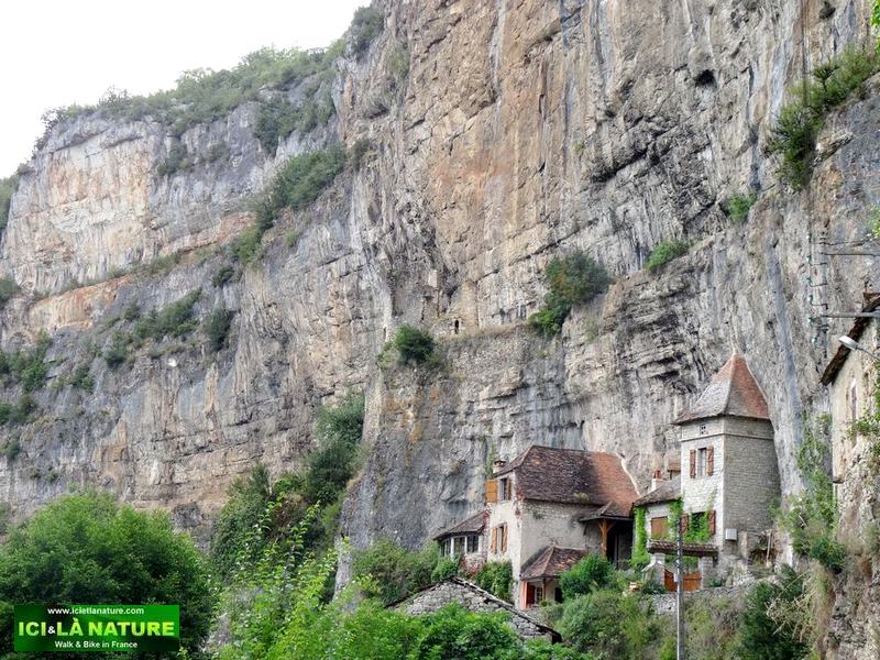 50-pech merle france