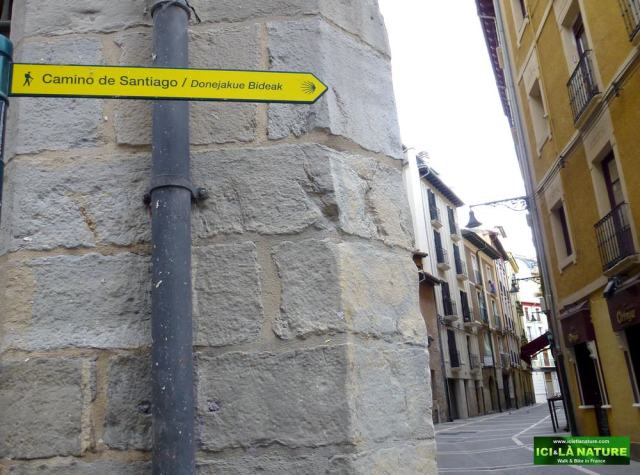 camino de santiago ici et la nature