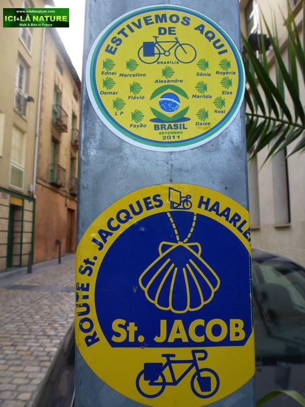 camino frances ici et la nature logrono