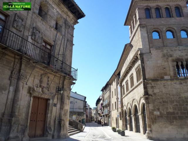 estella road camino ici et la nature