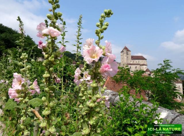 ici et la nature lot valley