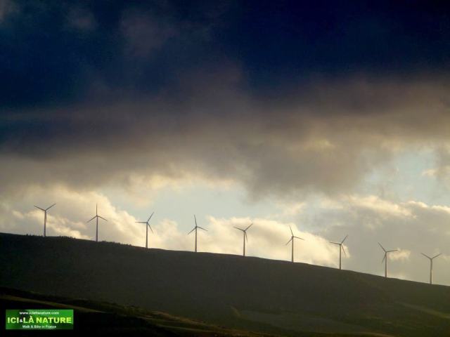 road st james to logrono