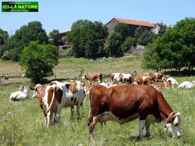 ici et la nature the way of st.james france